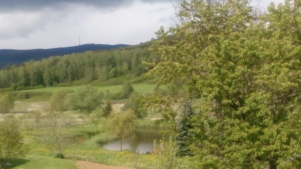 Mija Apartman S Vinnym Sklipkem, Zahradou A Grilem Kajov Exterior photo